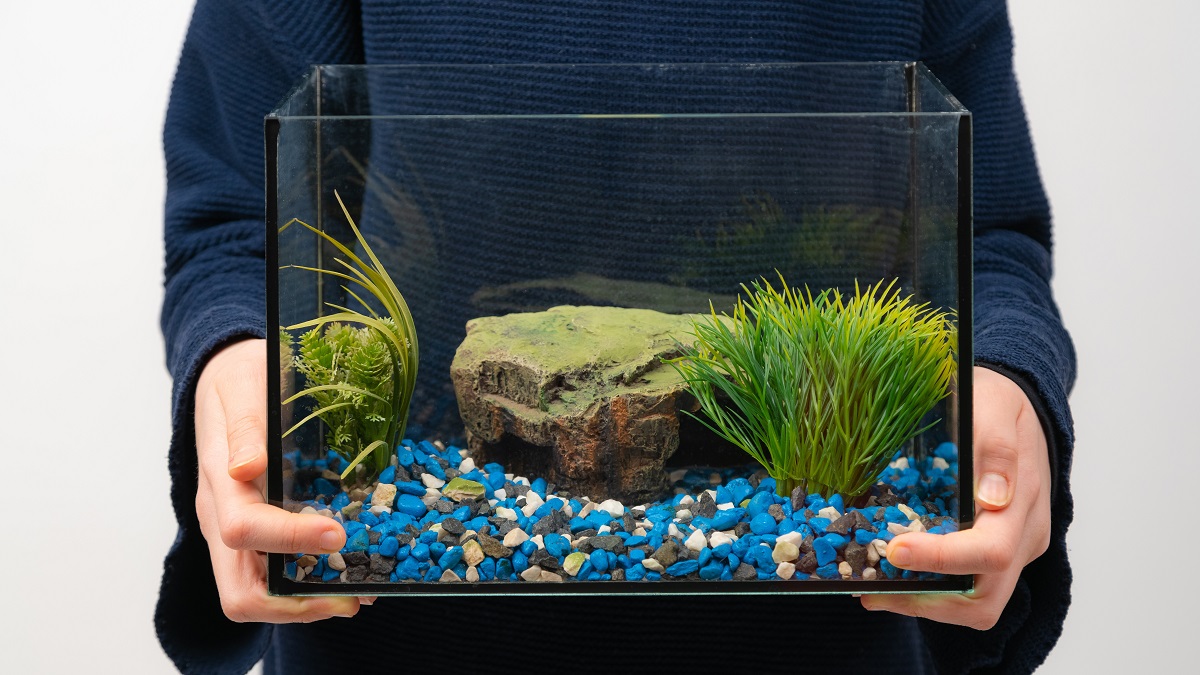 How Do You Prepare An Old Fish Tank?